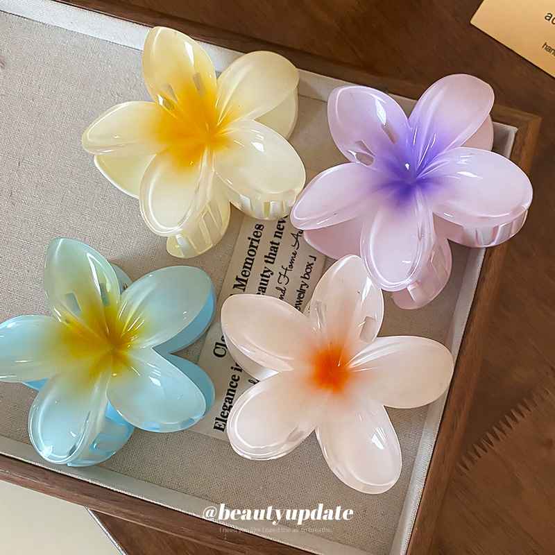 كريستال زهرة الاكريليك مشبك شع - مراجعة Travel Accessories Hong Kong وسعره